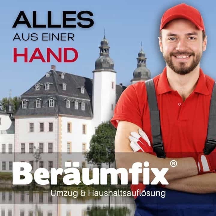 tarantel farn ableger Humata tyermannii - Tarantel-Farn - Vogelspinnen-Farn - Spinnenfarn