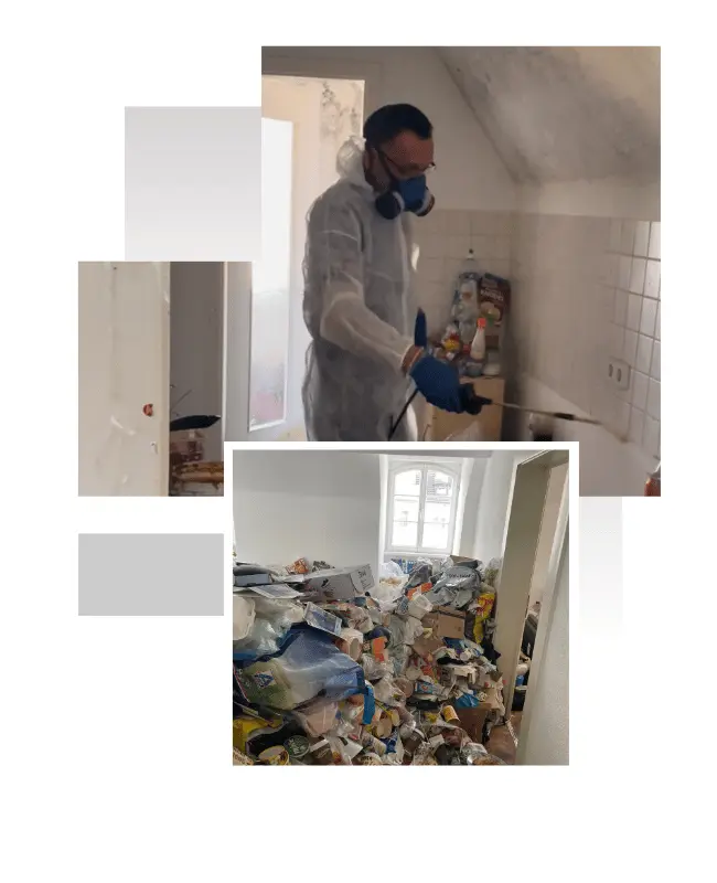 Messie Wohnung professionell entrümpeln lassen
