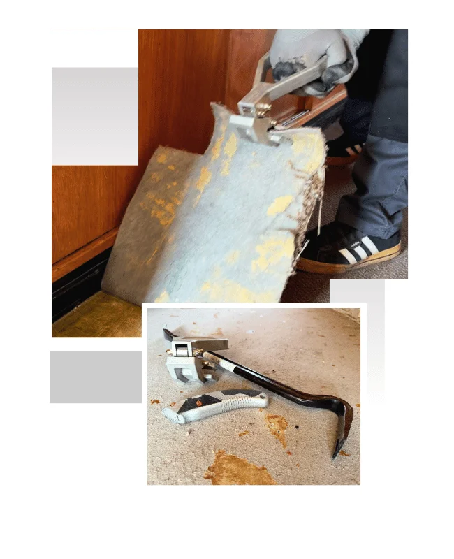 Teppichboden / Auslegeware mit mit Teppichkralle entfernen